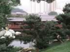 Chi-Lin-Garden-10.jpg (105kb)