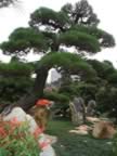 Chi-Lin-Garden-4.jpg (97kb)