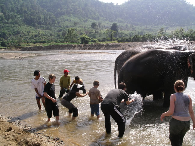images/Elephant-Washing-9.jpg