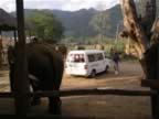 Van-vs-Elephants.jpg (70kb)