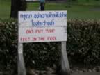 Chiang-Mai-Funny-Sign.jpg (85kb)