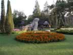 Chiang-Mai-Garden-1.jpg (121kb)