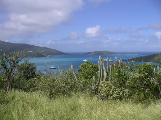 images/575-North-Sound-hike-Prickly-Pear-Island-View.jpg