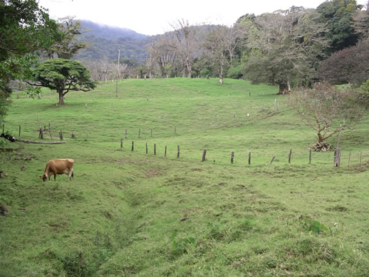 images/Monteverde-baca.jpg