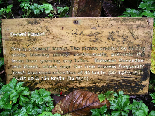 images/Monteverde-forest-Sign-2.jpg