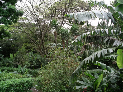 images/Monteverde-hotel-grounds-2.jpg