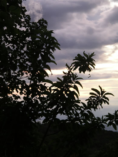 images/Monteverde-sunset-9.jpg