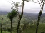 Monteverde-Arenal-trip-1.jpg (50kb)