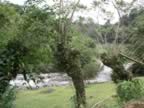Monteverde-Arenal-trip-2.jpg (88kb)