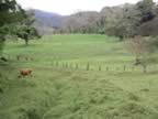 Monteverde-baca.jpg (63kb)