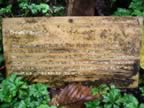 Monteverde-forest-Sign-2.jpg (86kb)
