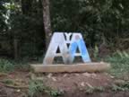 Monteverde-lost-AA-sign.jpg (74kb)