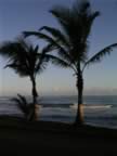 Bahia-Las-Ballenas-Sunrise-Palms-4.jpg (34kb)