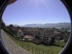Rapperswil-vineyards.jpg (44kb)