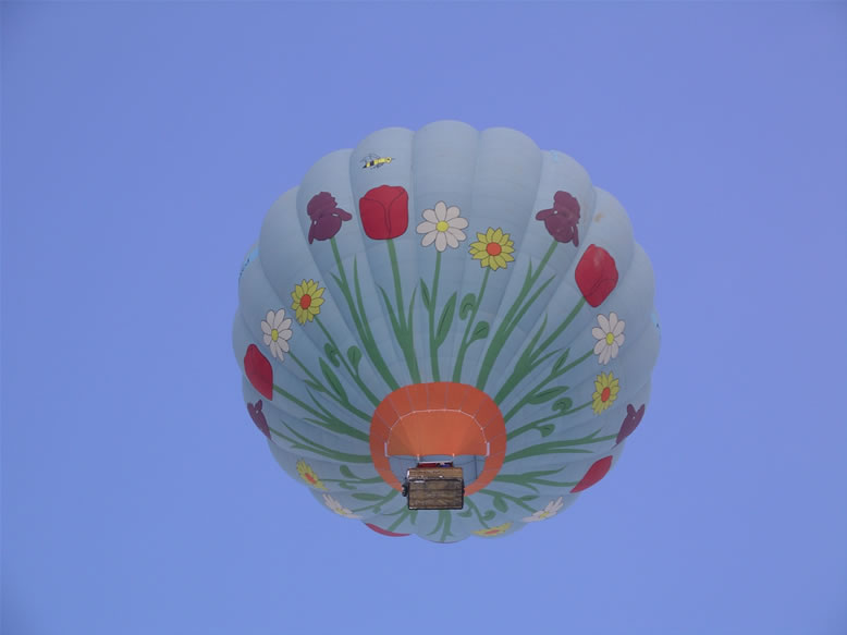 images/Tulips-balloon-2.jpg
