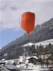 Orange Fruit Balloon (100kb)