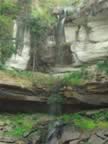 Phu-Chong-Nayoi-Park-Waterfall-3.jpg (109kb)