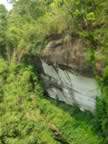 Phu-Chong-Nayoi-Park-Waterfall-bee-nest-1.jpg (147kb)