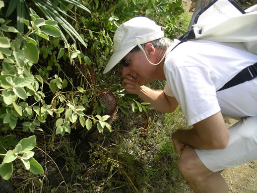 images/520-North-Sound-hike-Randy-tastes-fruit.jpg