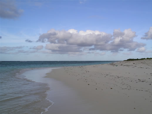 images/Anegada-beach-2.jpg