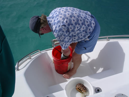 images/Anegada-lobster-preparing.jpg