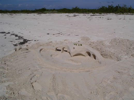 images/Anegada-sandcastle-1.jpg