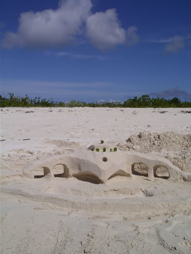 images/Anegada-sandcastle-4.jpg