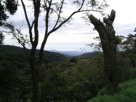 images/Monteverde-Pacific-view-1.jpg