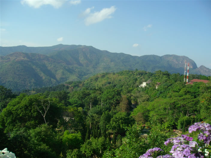 images/Doi-Tung-Royal-Villa-Balcony-view-2.jpg