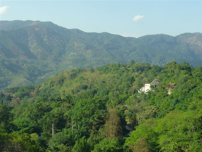 images/Doi-Tung-Royal-Villa-Balcony-view-3.jpg