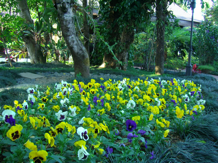 images/Doi-Tung-Royal-Villa-Garden-3.jpg