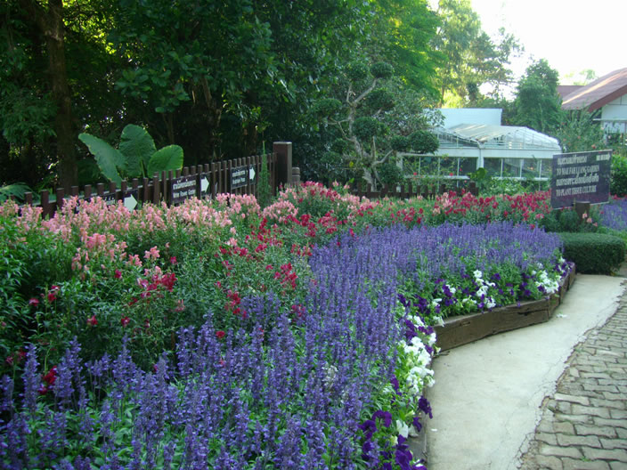 images/Doi-Tung-Royal-Villa-Garden-4.jpg