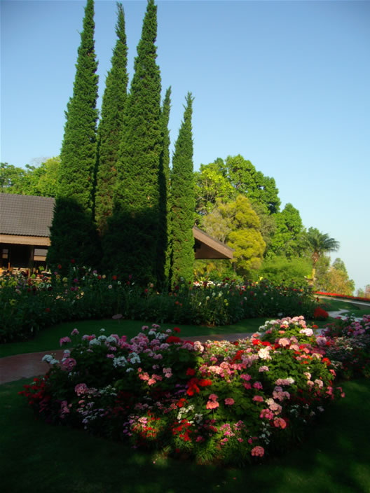 images/Doi-Tung-Royal-Villa-grounds-1.jpg