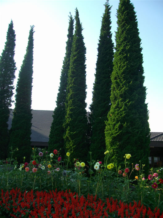 images/Doi-Tung-Royal-Villa-grounds-4.jpg