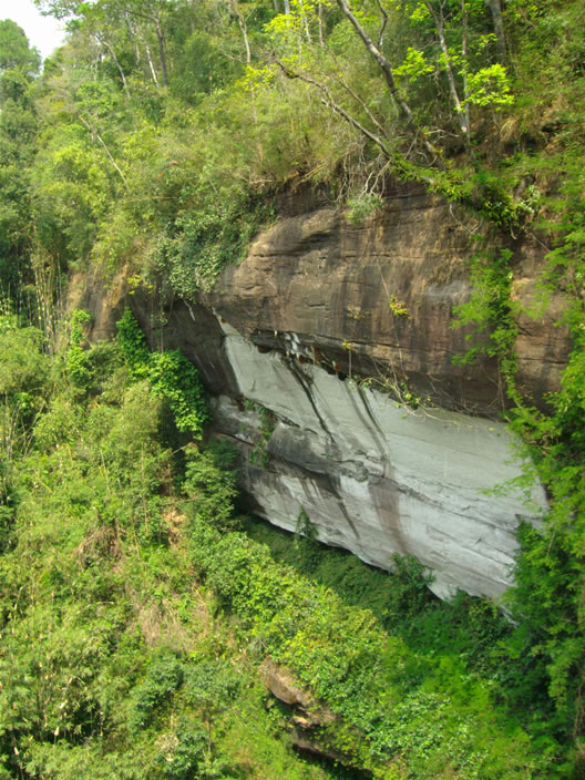 images/Phu-Chong-Nayoi-Park-Waterfall-bee-nest-1.jpg