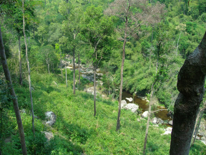 images/Phu-Chong-Nayoi-Park-Waterfall-river.jpg