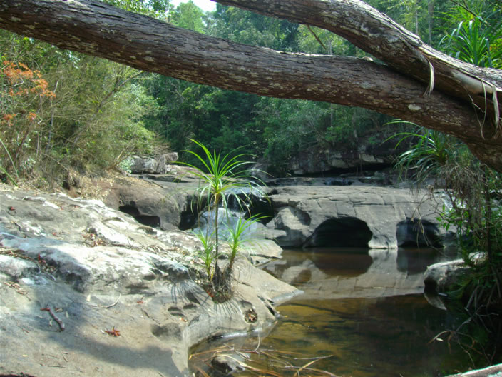 images/Phu-Chong-Nayoi-Park-Waterfall-top.jpg